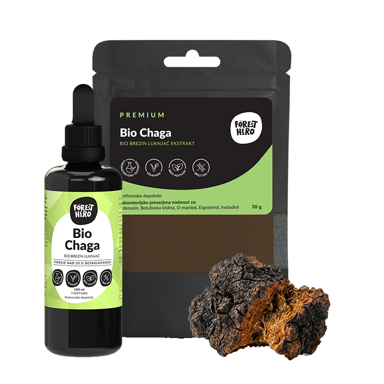 Čaga (chaga) — Bio ekstrakti