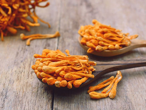 Pomembne razlike prehranskih dodatkov iz gobe Cordyceps