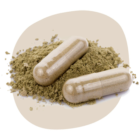 Veganske kapsule z medicinskimi gobami za naravno izboljšanje fokusa, krepitev imunskega sistema in več energije v vsakdanjem življenju